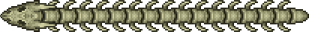 Serpente de Ossos