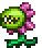 Plantera Seedling (pet).gif