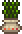 Seaweed Planter item sprite