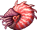 Dreadnautilus