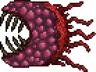 terraria bosses wall of flesh