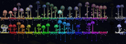 Colored Mushroom biome