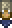 Piratenkorsarbanner