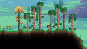 Terraria - New world, update and download!