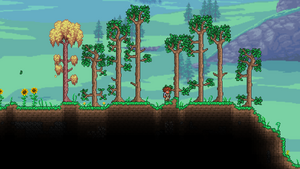 Terraria - New world, update and download! 