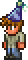 Guide