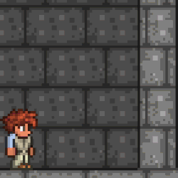 Category Verify The Official Terraria Wiki