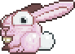 Lepus