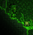 Jungle Spores (demo)