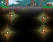 Stone Patch