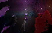 A Terraria screenshot, showing a cave that is partially infected with Hallowed and Crimson, as well as a portion that is not infected. The Hallowed and Crimson blocks are glowing bright purple and red because of the Biome Sight buff.