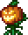 Squashling.png