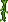 Jungle vines
