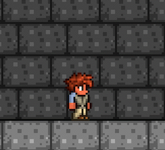 蟲網 Terraria Wiki