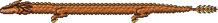 Wyvern arch