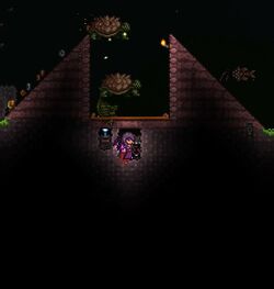 The 9 Best Enemies To Farm In Terraria