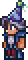 Traveling Merchant