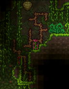 Шипастая колючка из Подземных джунглей