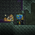 A large gold coin stash.