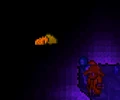 A small copper stash as seen from Spelunker buff.