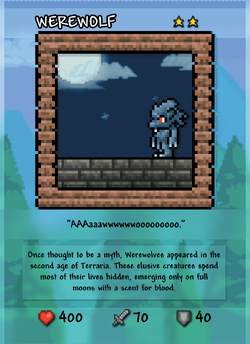 Terraria: Collector's Edition (Digital Game Download Card) : Everything Else