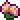 Pink Prickly Pear.png