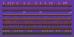 Terraria guide - Planting seeds and growing plants 