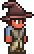 Wizard Hat (equipped).png