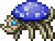 Anomura Fungus.png
