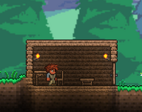 Terraria house