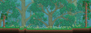 Flower Patch