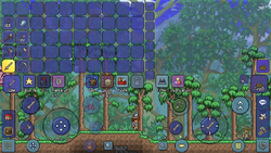 Guide:Crafting 101 - The Official Terraria Wiki  Terrarium, Terrarium  base, Terraria house ideas