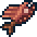 진홍 타이거피시.png