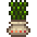 해초 화분.png