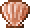 넵튠의 조개.png