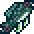 쌍대구.png