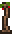 생나무 램프.png