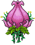 Pierwsza forma Planter'y.png