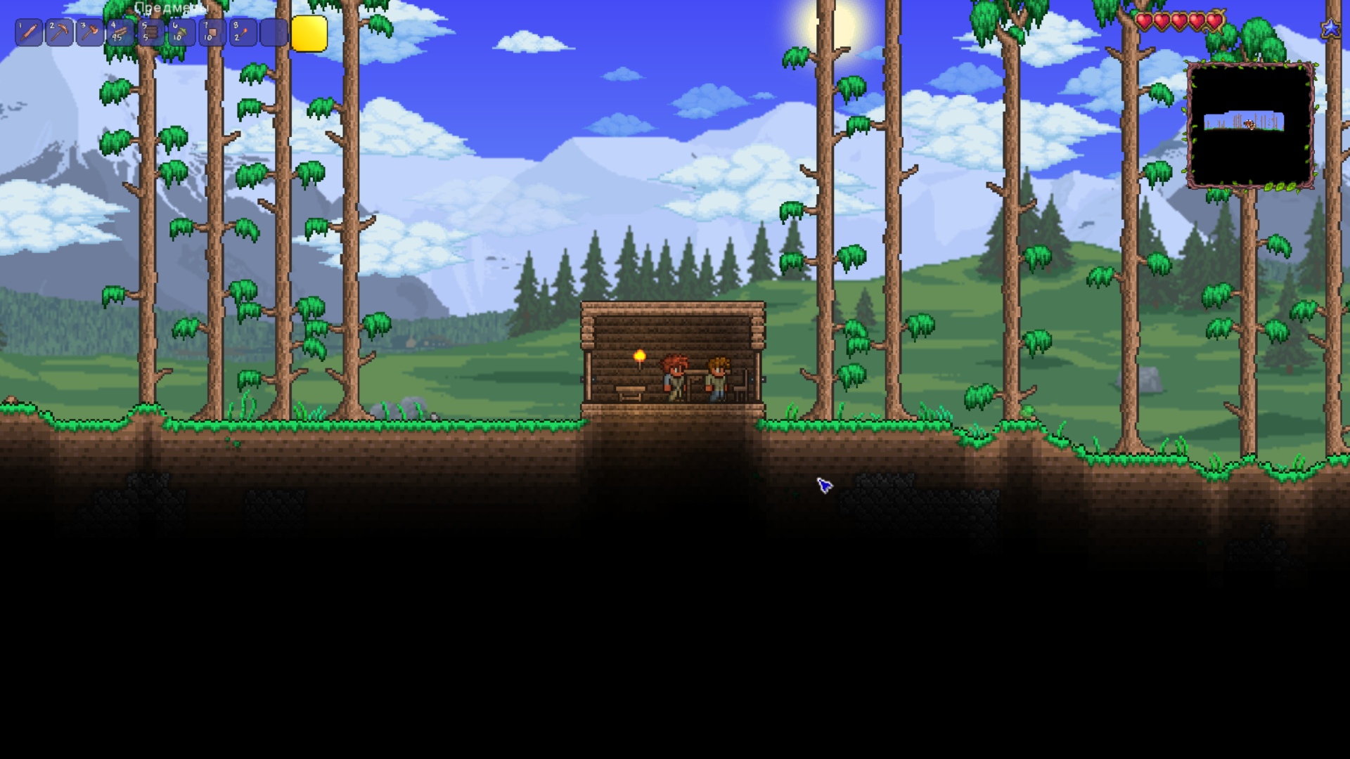 Руководство:С чего начать? — Terraria Wiki