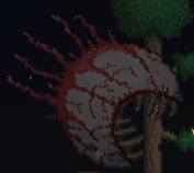 Eye Of Cthulhu, Wiki, 🌳, Terraria Amino