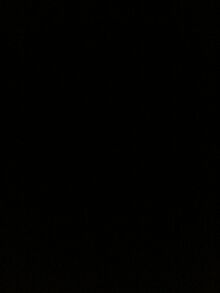1516672447168-227510581.jpg