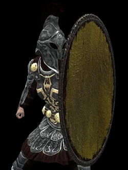 Heavy Painted Body Shield