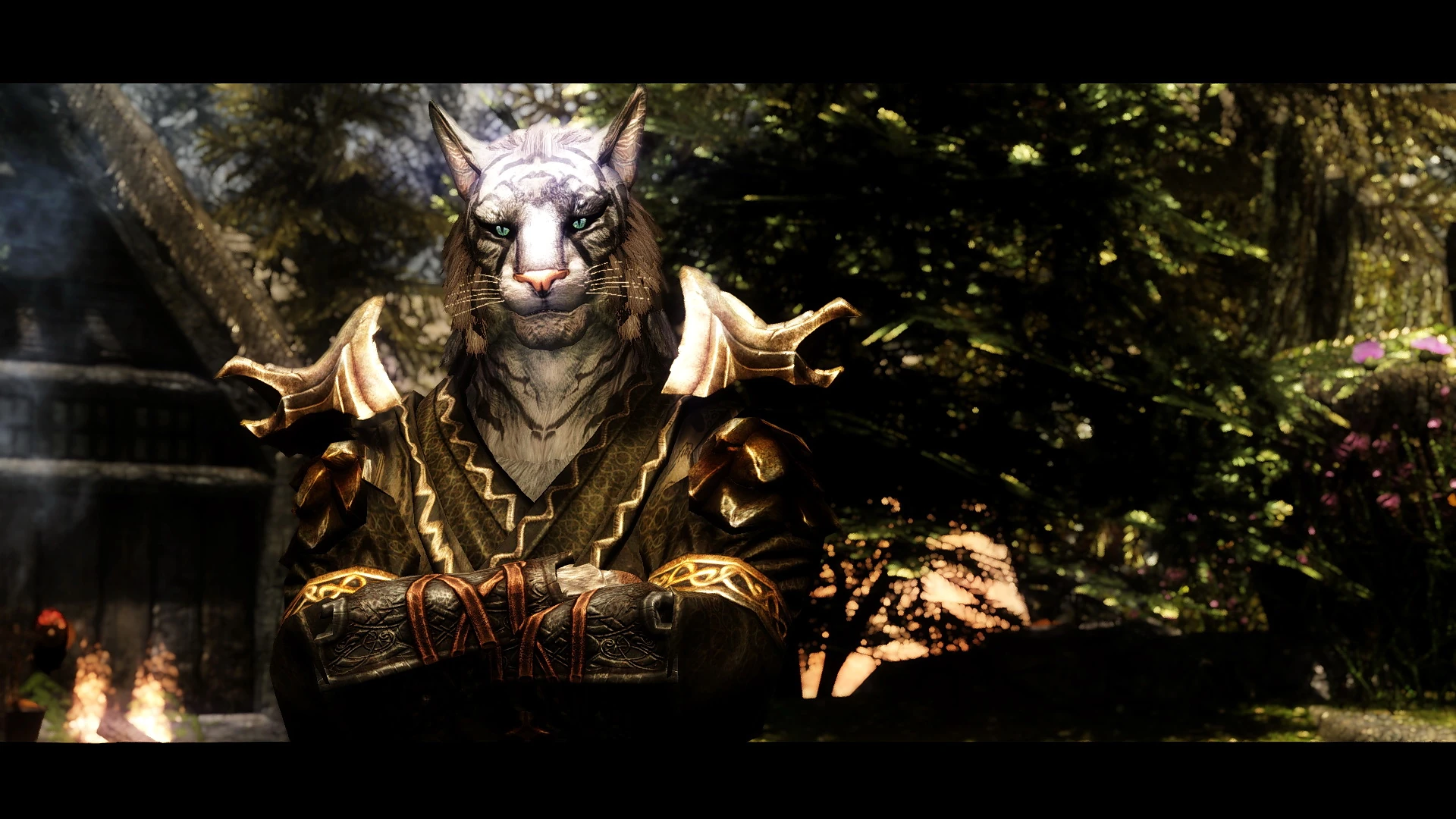SC - Khajiit Improvement | The Elder Scrolls Mods Wiki | Fandom, image size:1920x1080