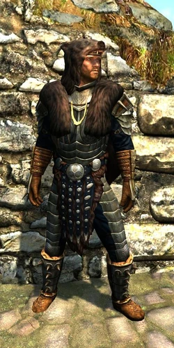 Heroic Stormcloak - Male