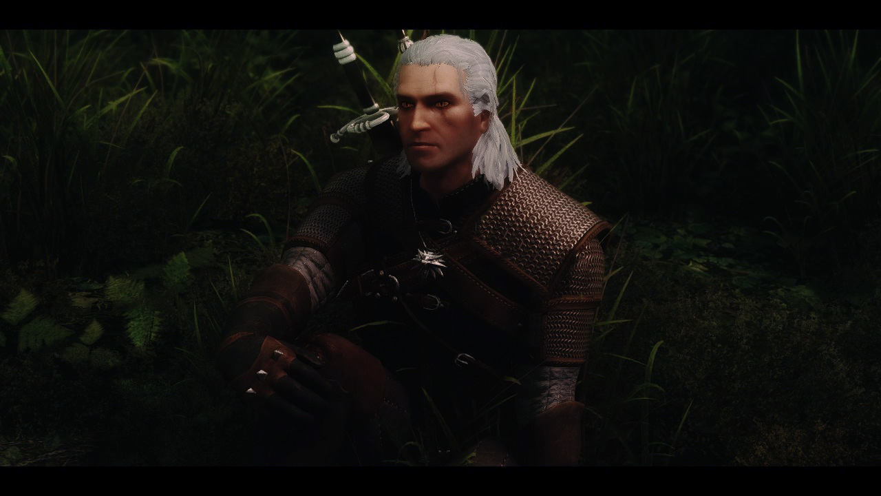 Geralt Of Rivia Voiced Follower The Witcher The Elder Scrolls Mods Wiki Fandom