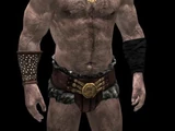 Barbarian Hero Armor