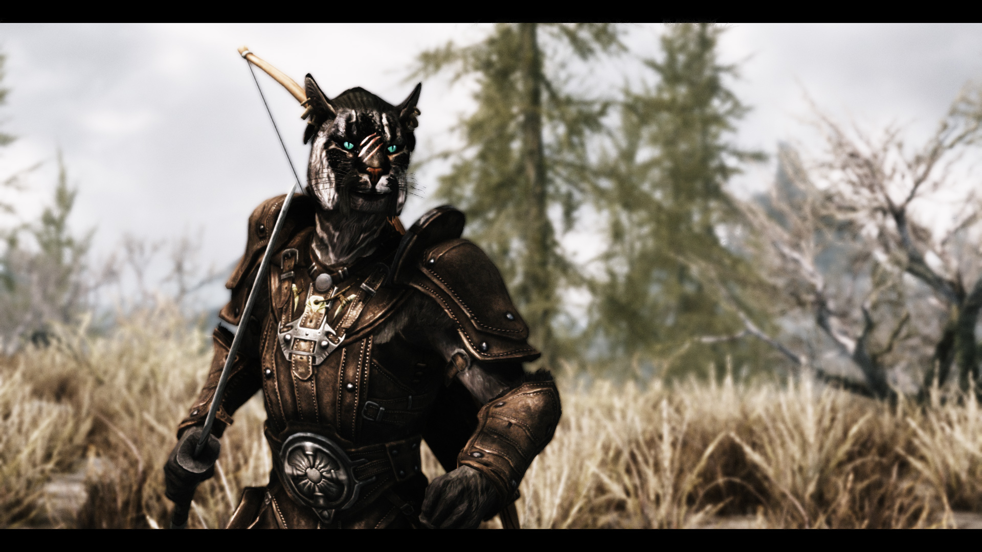 skyrim khajiit follower mod skyrim khajiit follower mod