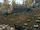 Audmund's Farm