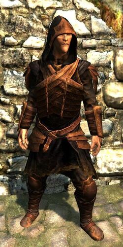 Bosmer Elder Armor | The Elder Scrolls Mods Wiki | Fandom