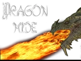 Dragonhide Robes (Mod)